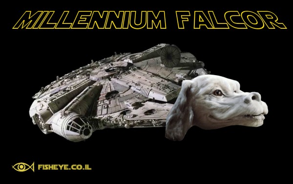 millennium-falcor-hollow