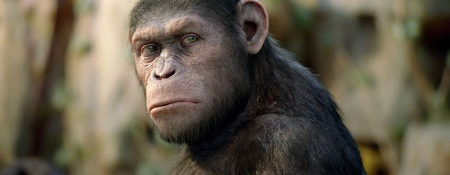 הבמאי שהפך את "כוכב הקופים: המרד" לסרט מצוין נגד כל הסיכויים כנראה לא ימשיך לסרט ההמשך